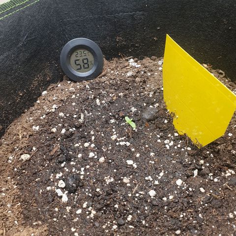 Epsilon growlog timeline photo