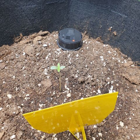 Epsilon growlog timeline photo