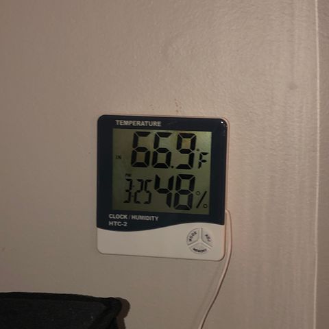 JANE 1 CLONE growlog photo: DAY 1 - after FIMMING - Before opening tent 