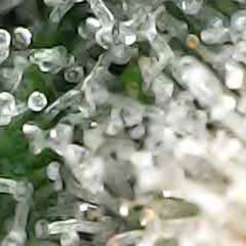 JANE 1 CLONE growlog timeline photo