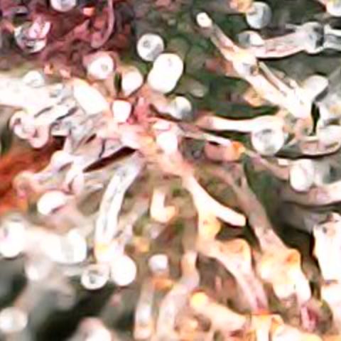 JANE 2 CLONE growlog timeline photo