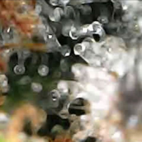 JANE 2 CLONE growlog timeline photo