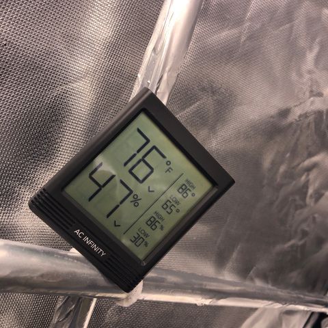 Royal Bluematic Auto - RQS growlog timeline photo