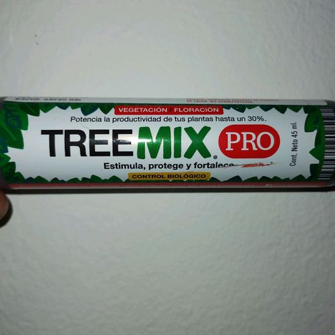 CBD Charlotte's Angel  growlog timeline photo