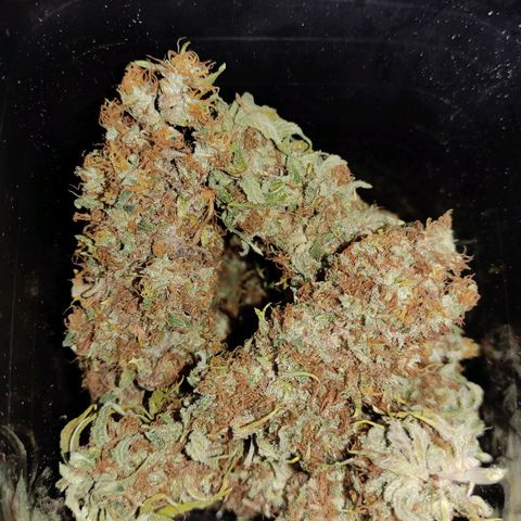Jack Hero growlog timeline photo