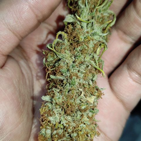 Jack Hero growlog timeline photo