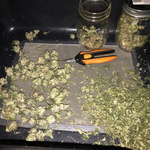 Step Child c1p2 growlog timeline photo
