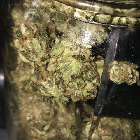 Step Child c1p2 growlog timeline photo