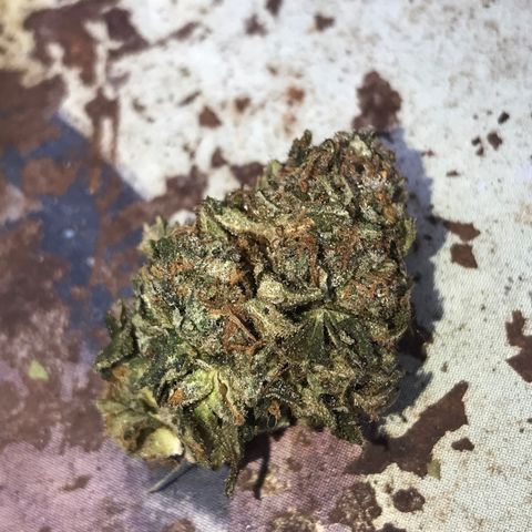 Step Child c1p2 growlog timeline photo