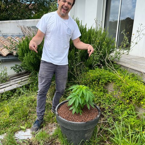 Watermelon Zkittlez growlog timeline photo