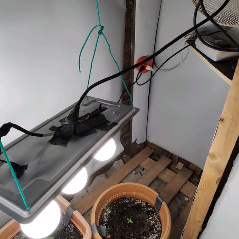 Quick One growlog timeline photo