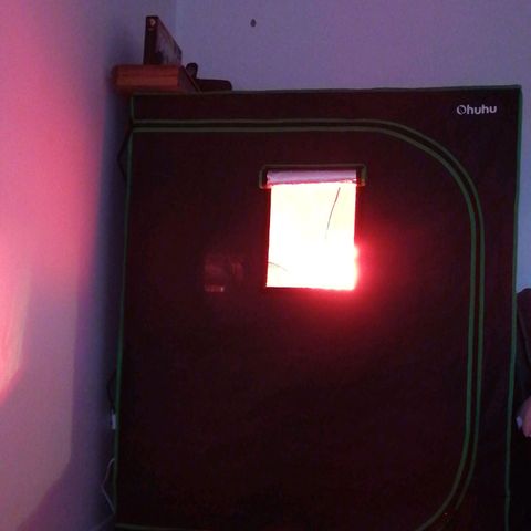 Génétique Sativa growlog photo: Ma nouvelle tente