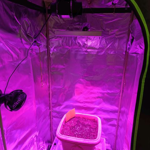 Ammy growlog timeline photo