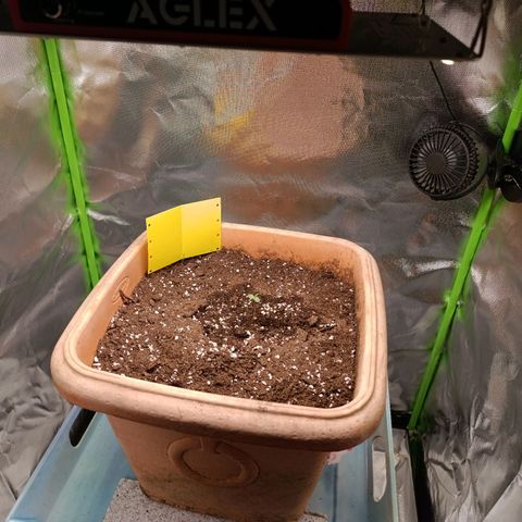 Ammy growlog timeline photo
