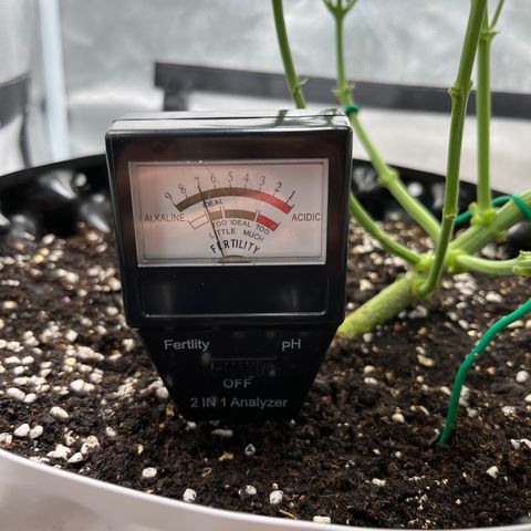 OG Kush Autoflower growlog timeline photo