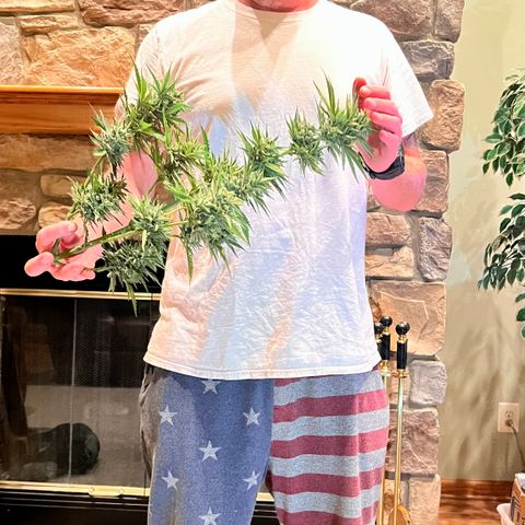 Northern Light Auto growlog timeline photo