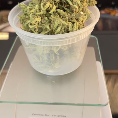 Northern Light Auto growlog photo: Jarred with 62% bovado humidity pack