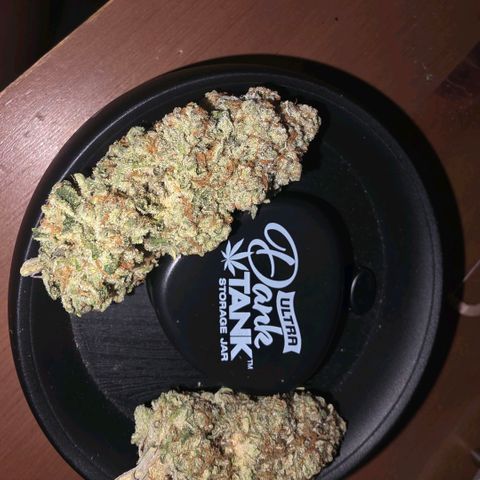 Don carlos  growlog timeline photo