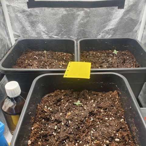 Bartek'sFarmScam growlog timeline photo