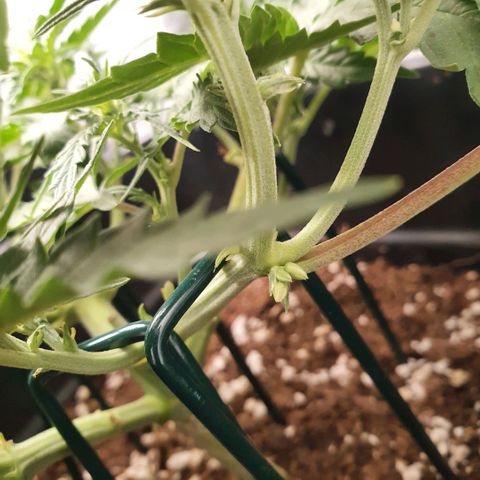 Bartek'sFarmScam growlog timeline photo