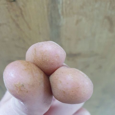 Bartek'sFarmScam growlog timeline photo