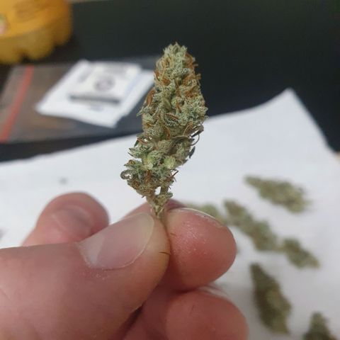 Bartek'sFarmScam growlog timeline photo