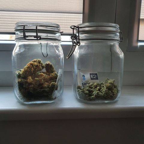 Bartek'sFarmScam growlog timeline photo