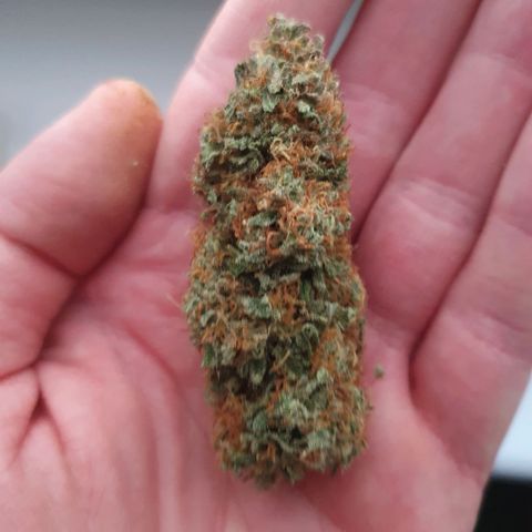 Bartek'sFarmScam growlog timeline photo