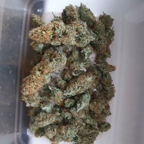 Bartek'sFarmScam growlog timeline photo
