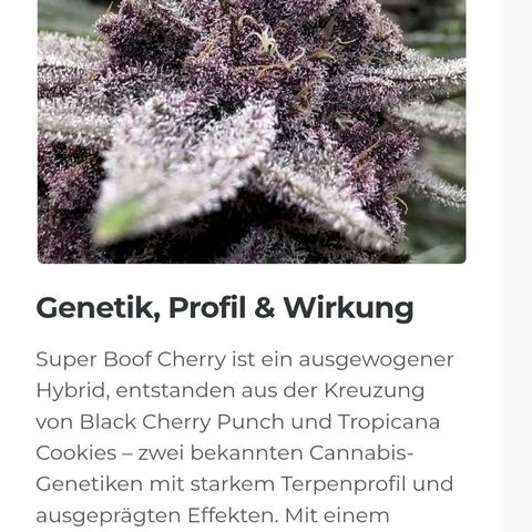 Cherry growlog timeline photo