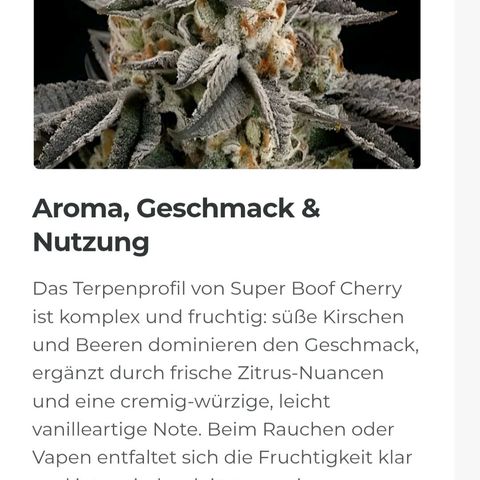Cherry growlog timeline photo