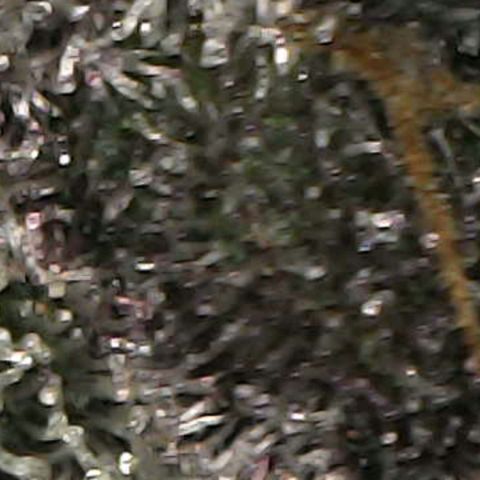 Cherry growlog timeline photo