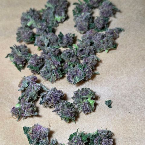 Cherry growlog timeline photo
