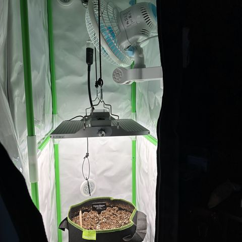 Anni growlog photo: HomeKit 