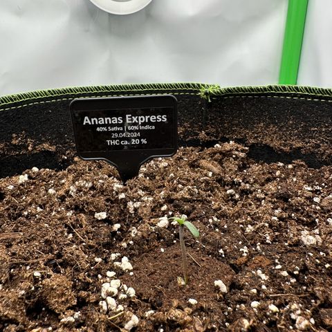 Anni growlog photo: Hellooo 