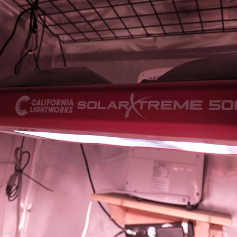 White Widow #2 growlog photo: Installed the new light, going to 2 in a month. It's not pinkish but really strong and a little more hot than the other. 