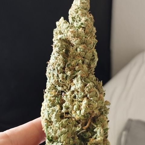 Fat Banana growlog photo: Headbud Trockengewicht 9g
