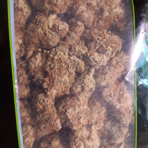 Blue Gelato Royal Queen Seeds growlog photo: 120g Trockengewicht