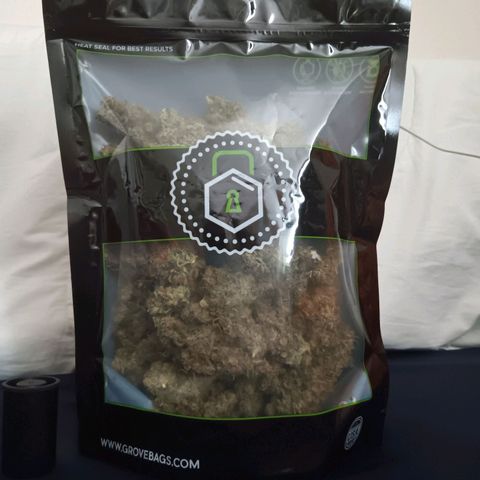 Blue Gelato Royal Queen Seeds growlog timeline photo