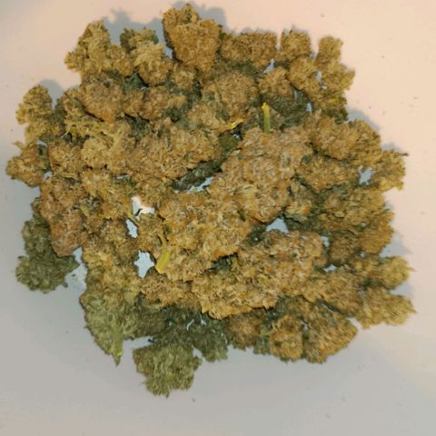 Bud Voyage Fat Bastard Fem growlog timeline photo
