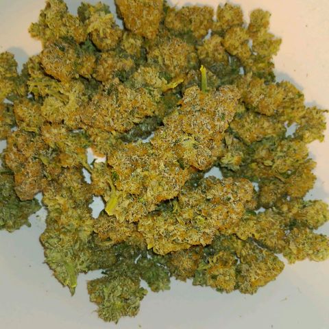 Bud Voyage Fat Bastard Fem growlog timeline photo