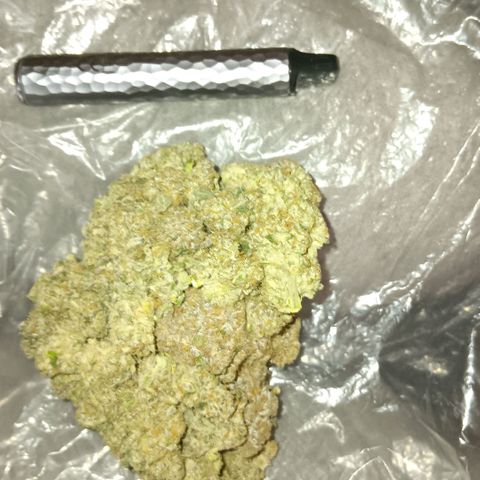 Bud Voyage Fat Bastard Fem growlog timeline photo