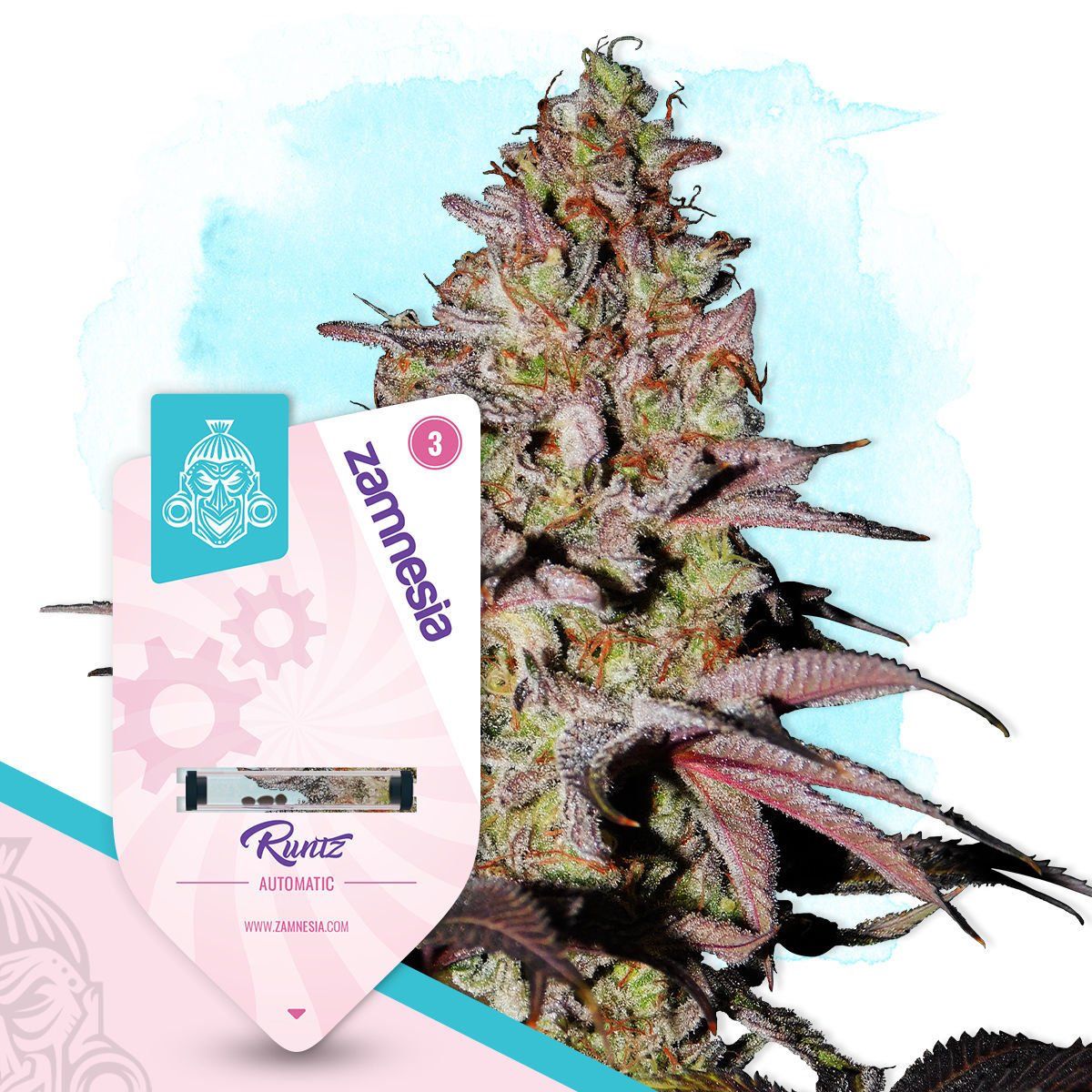 Runtz Auto growlog header