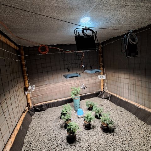 Calima II growlog photo: Instalación de malla sombra 75%  aluminizada para reducción de temperatura y mejorar la reflexión de la luz solar directa. 