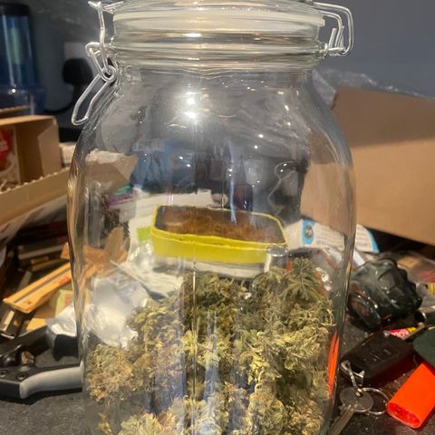 Zkittles growlog timeline photo