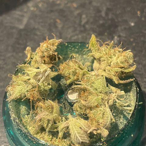 Zkittles growlog timeline photo