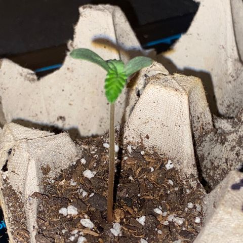 Bethany growlog timeline photo