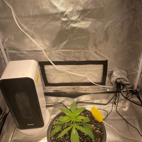 Bethany growlog timeline photo