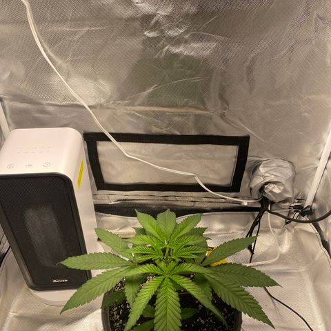 Bethany growlog timeline photo