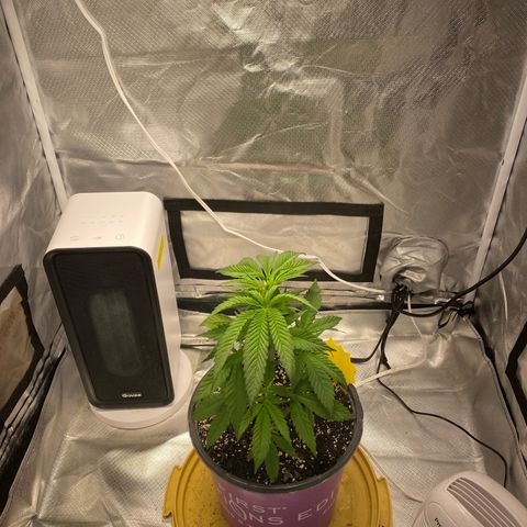 Bethany growlog timeline photo